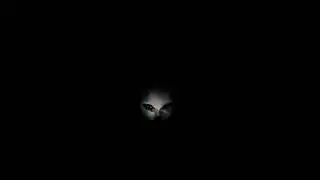 [FREE] Dark Ambient Trap Beat - 