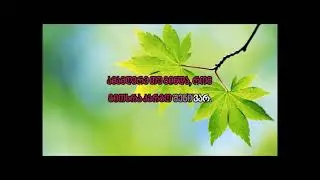 ნატო გელაშვილი - ტკივილს ნუღა მომაყენებ (კარაოკე) / Nato Gelashvili - Tkivils Nughar Momakeneb