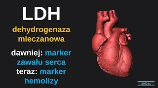 LDH - dehydrogenaza mleczanowa - dawniej marker zawału serca, teraz marker hemolizy
