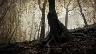 stalker call of misery {СИДОРЫЧ} (2)