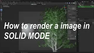 How to render a image in solid mode. Blender