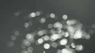 Pmd