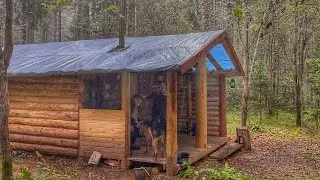 PAINTING THE HUT AND COOKING FRESH WILD PORCELAIN MUSHROOMS