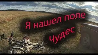 Я нашел поле ЧУДЕС ГДЕ ЕСТЬ МОНЕТЫ.