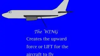 Parts and Control Surfaces of an Aircraft