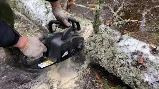 McCulloch Li 58CS Battery Chainsaw - Field Test