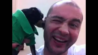Брюлик и Черкасов