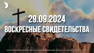 ЕЖЕНЕДЕЛЬНЫЕ СВИДЕТЕЛЬСТВА | КЕМЕРОВО 🔥 29.09.2024