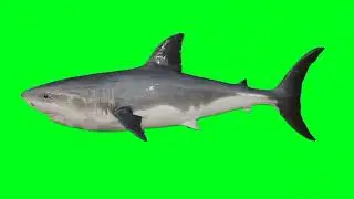 untitlet video :D