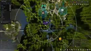 Black Desert Polly's Forest without Polly Quest