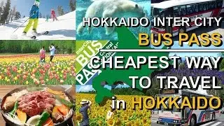 The Cheapest Way to Travel in Hokkaido, Japan 3