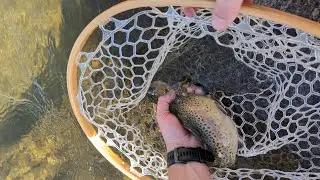 This Is Why Fly Fishing Is The Best Way To Fish