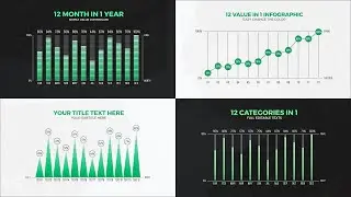 12 Value Infographic Charts | After Effects Template
