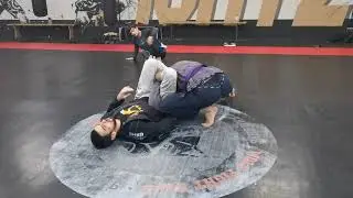 Omoplata & kimura