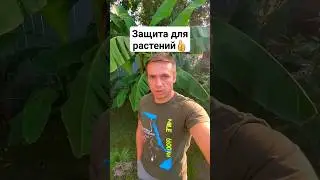 Чем я буду укрывать свои растения