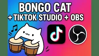 🎵 Bongo Cat tutorial CZ – TikTok Studio + OBS