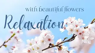 Beautiful Flowers and Calming Piano Music for Relaxation