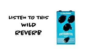 The Sky Surfer Reverb is built like a tank and sounds like it was built by an astronaut.