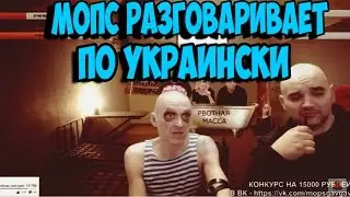 МОПС УЧИТСЯ ГОВОРИТЬ ПО УКРАИНСКИ