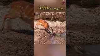 ترقب وحذر بنسبة عالية جداً #shorts
