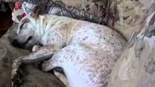 Что-то такое снится...
