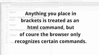 HTML Elements and Tags
