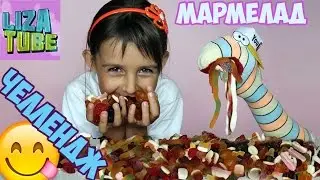 Marmalade CHALLENGE ✯ Lisa and the Worm SHOWS on the channel lizatube