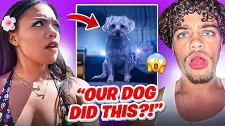 My Dog Just Did The IMPOSSIBLE!!! 🫢