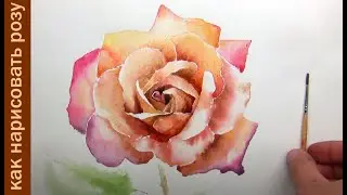 How to paint a rose in watercolor.