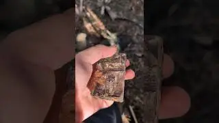 Geocaching in Clifton Springs, FL