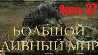 Reign Of Kings 37 Большой Дивный Мир