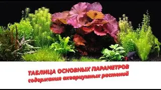 Таблица параметров содержания аквариумных растений Table of the main parameters of aquarium plants