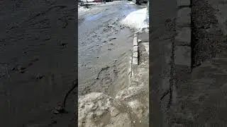 секта или жизнь......