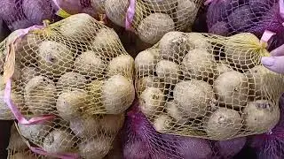 Семенной картофель поступил в продажу.м-ДАЧА г.Каменск-Уральский.22 апреля 2023 г.