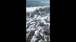 Отдых Сочи, Лазаревское, Море, Пляж Лагуна, Пляж Чайка, Shorts