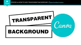 How To Get A Transparent Background In Canva