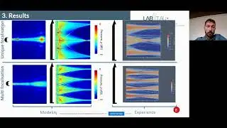 Thomas Biscaldi: Ultrasound Interstitial Catheter for Ultrasound Image-Guided Conformal HIFU Therapy