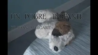 Un pobre instante de Joan Margarit