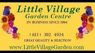 Little Village Garden Centre - Thousands of Hanging Baskets, Bedding Plants, Annuals
