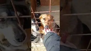 Ласковые и добрые малыши  