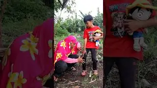 KEKUATAN MAMA - MAGIC MAMA - 