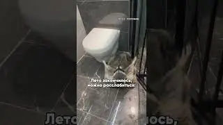 Нужно в зал!  #мемы #мемчик #юмор #рек #рекомендации #спорт
