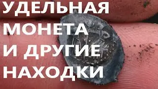Уделы, кресты, большая поселушка, идеальное место для слёта кладоискателей осенью 2024г.