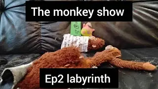 the monkey show ep2 labyrinth #show #monkey #film