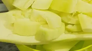 Что делать, когда кабачки не куда девать