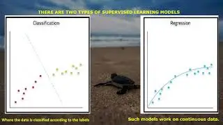 DECISION TREE, PIXEL IT ACTIVITY,  AI MODELS,