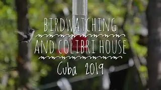 Birdwatching and Colibri House Cuba 2019