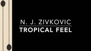 Tropical Feel de N.  J.  Zivkovic [Percussion]