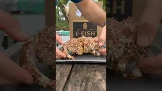 Pt. 14- I Ate a Box Crab #crab #seafood #lobster #kingcrab