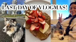 Last Day of Vlogmas!! | VLOGMAS DAY 24